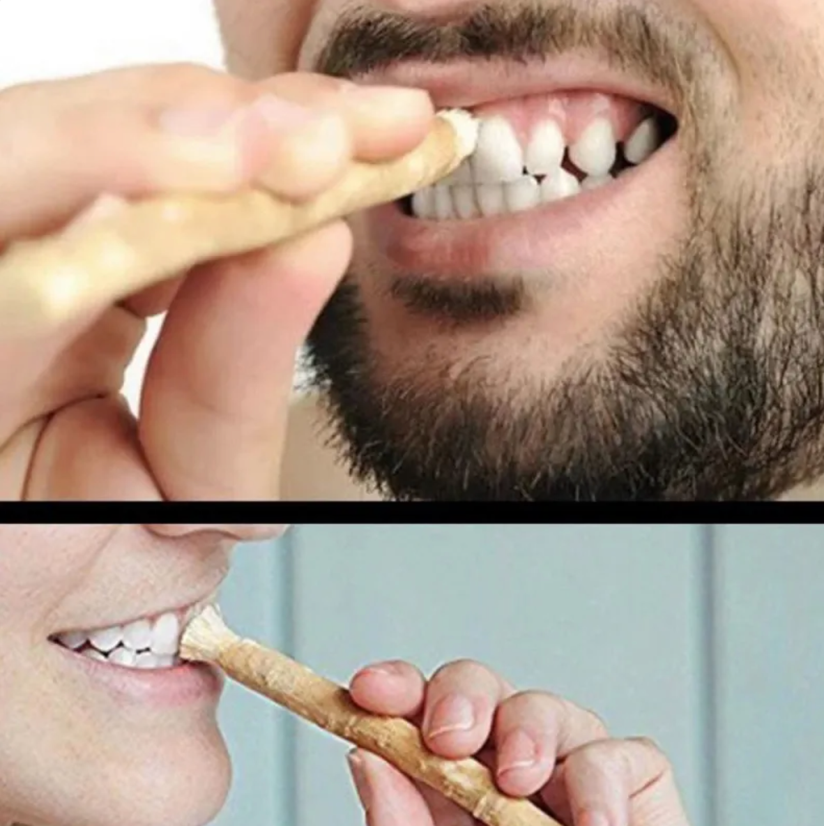 Barra de limpieza dental Miswak